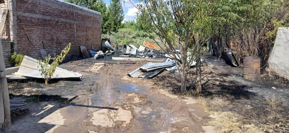 WhatsApp Image 2025-03-02 at 18.55.09 (1)