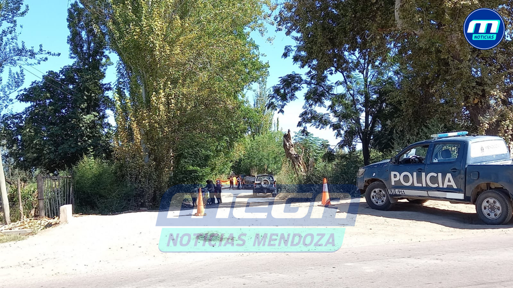 policía (2)