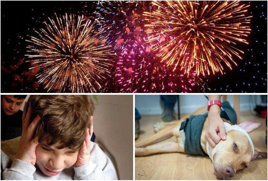 multimedia.normal.84065062e884505b.7069726f7465635f363238316a70675f6e6f726d616c2e6a7067