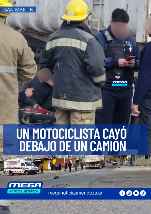 ROBO PALMIRA (2)