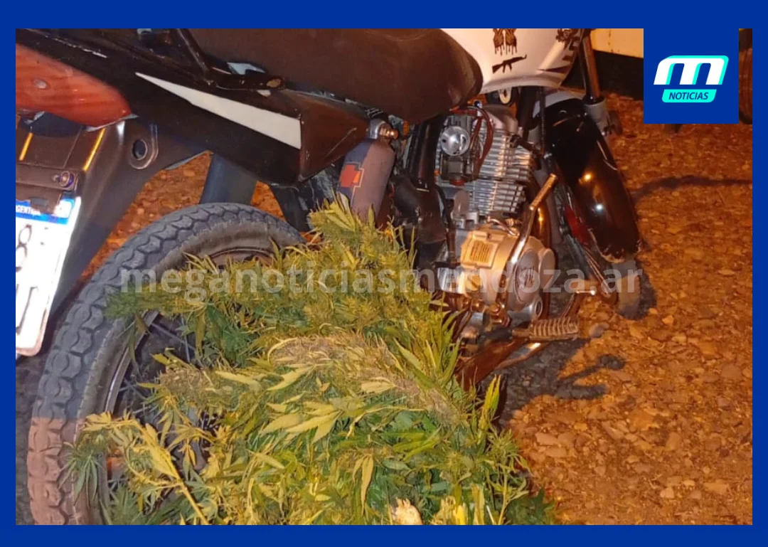 Añadir un título_20260411_081409_0000