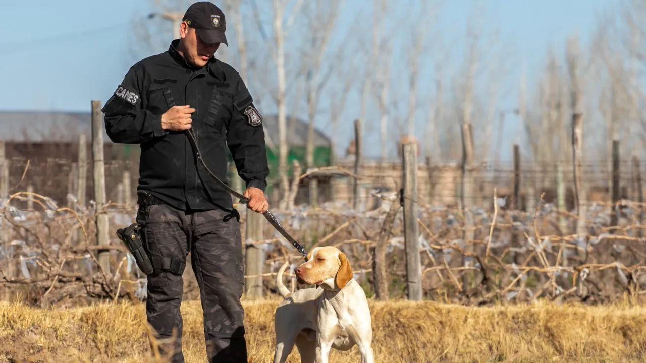 PORTADA-FITO-1-scaled-e1767019086955-1280x720