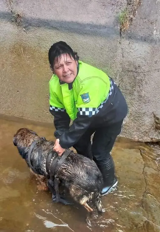 FB_IMG_1728419219031