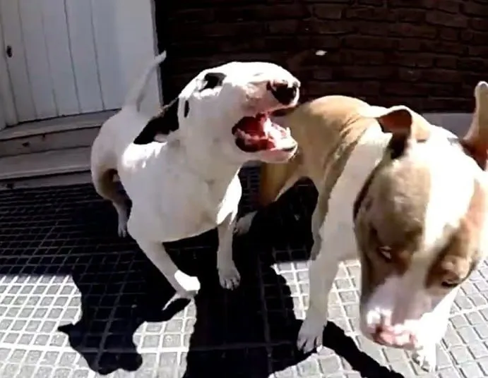 WhatsApp Image 2024-10-29 at 21.01.50