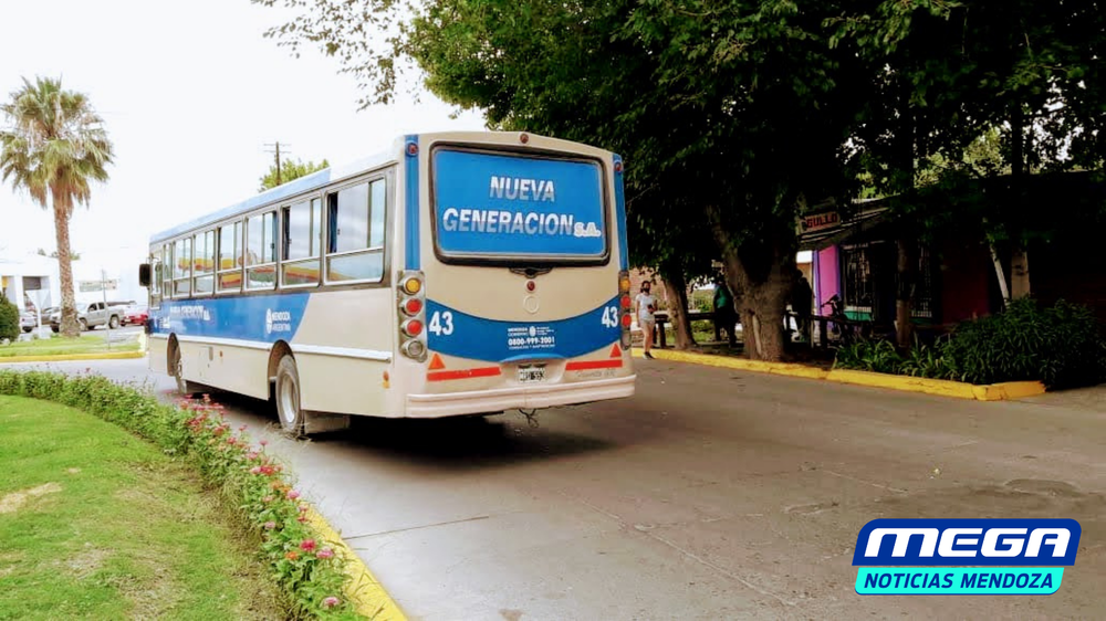 MICRO COLECTIVO