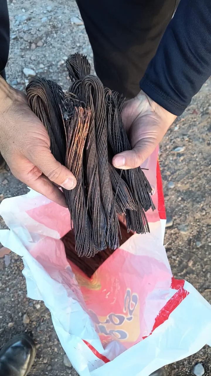 WhatsApp Image 2024-06-11 at 19.36.41