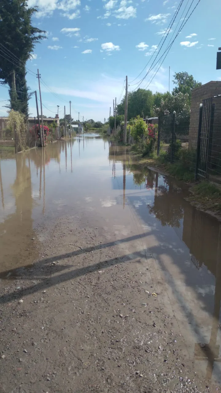 WhatsApp Image 2025-11-03 at 10.26.06