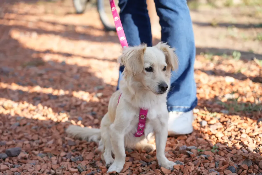 486965136_1076389771186305_3755197962939229509_n