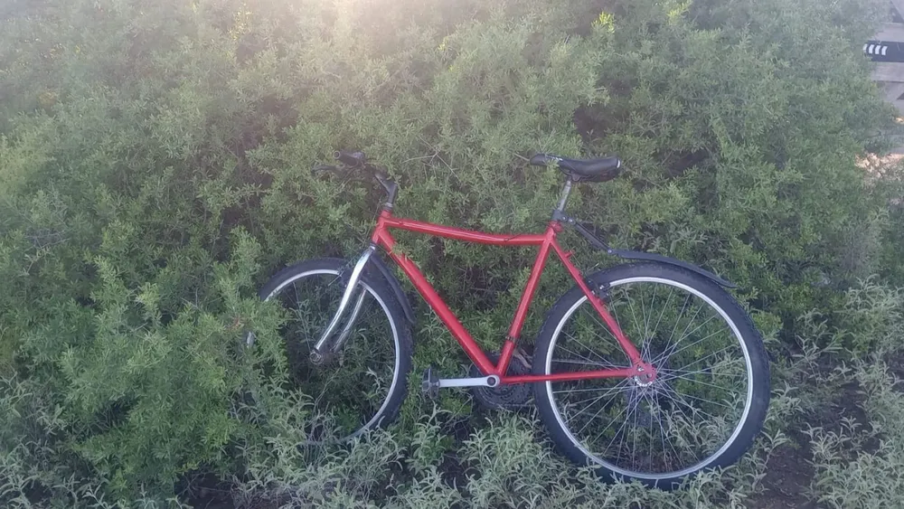 operativo-zona-este-4-e1770244812827