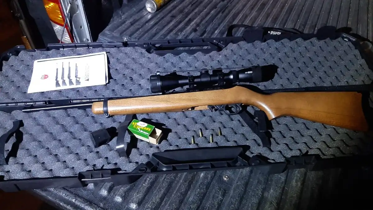 arma carabina 22