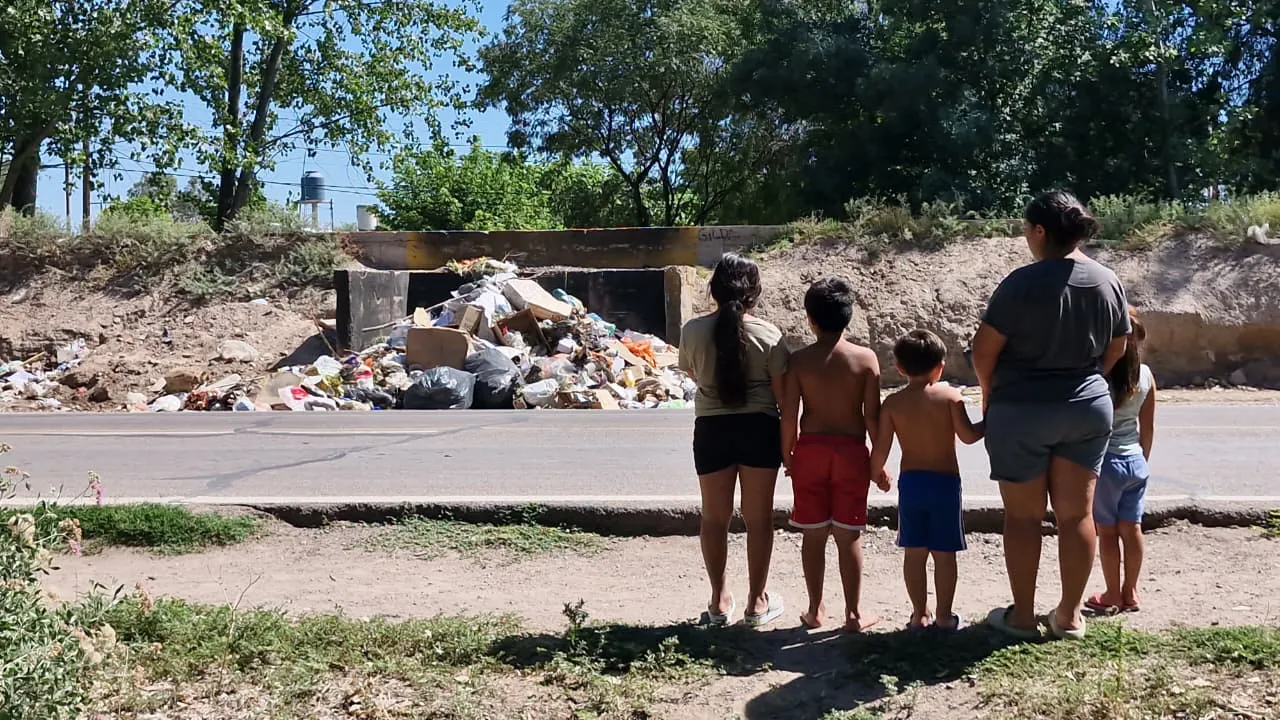 WhatsApp Image 2026-01-20 at 12.46.09