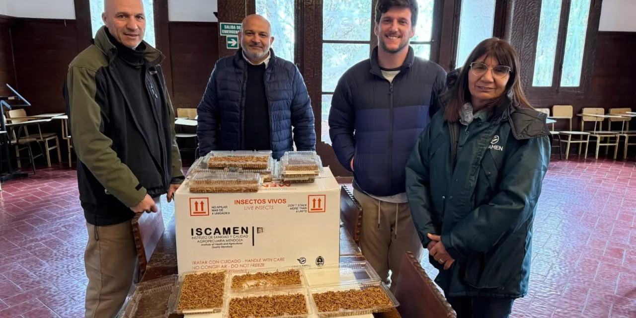 WhatsApp Image 2025-09-10 at 09.14.05