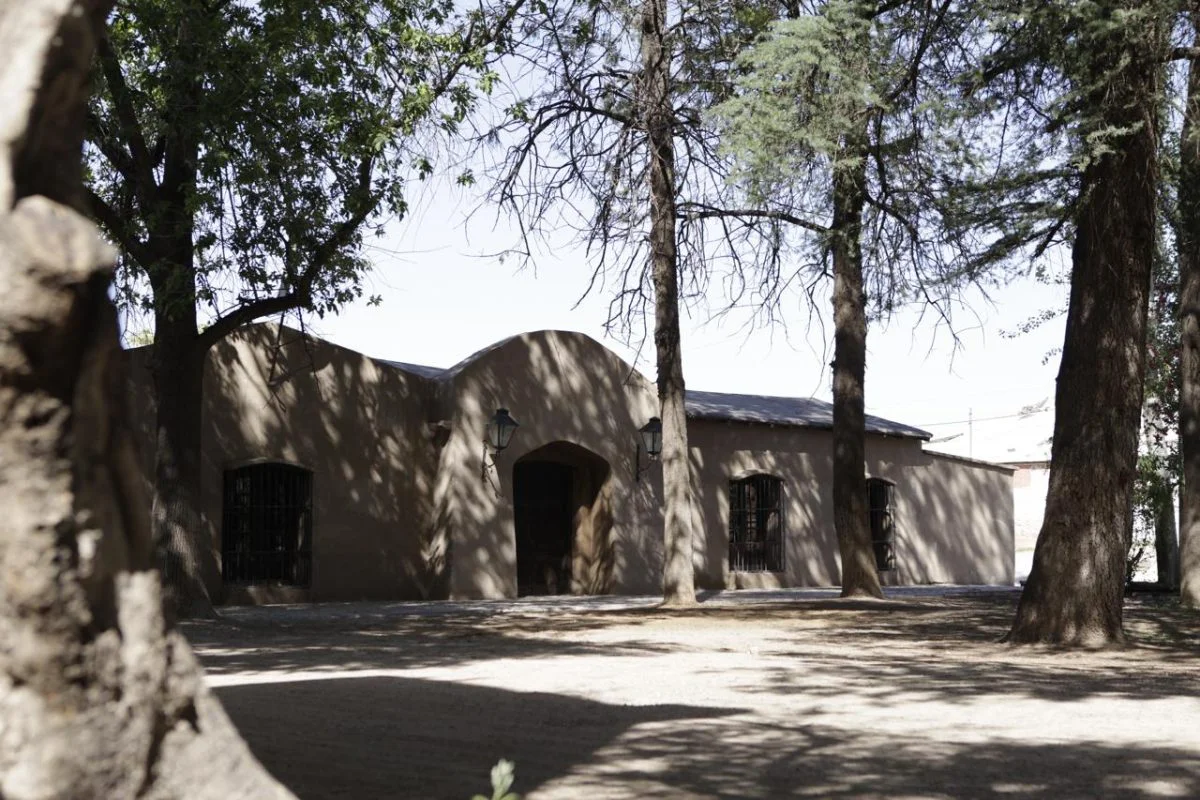 WhatsApp-Image-2026-04-07-at-13.26.26-1200x800