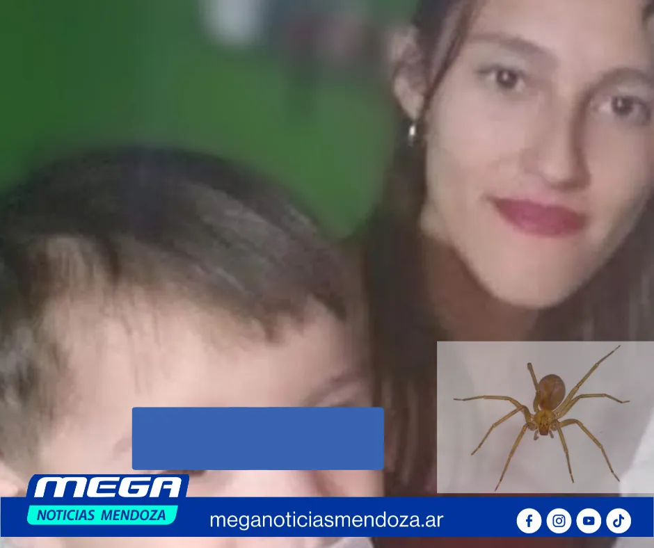 araña
