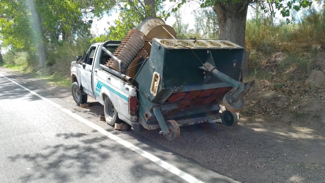 WhatsApp Image 2024-02-27 at 18.09.43