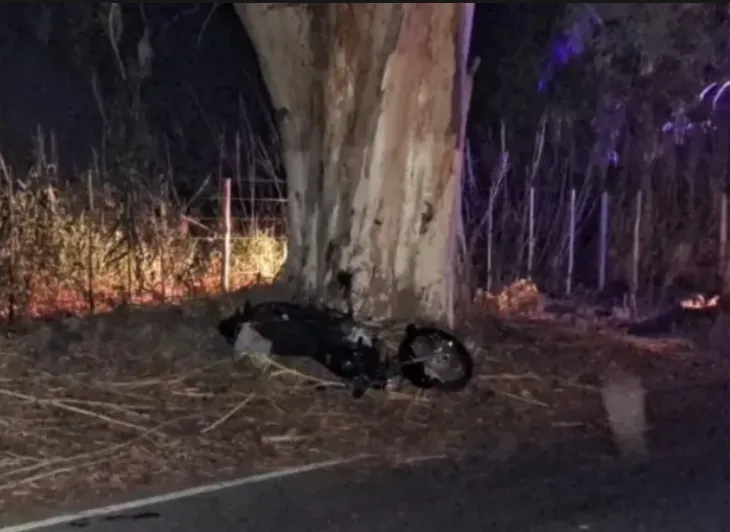 Captura de pantalla 2025-12-04 104858