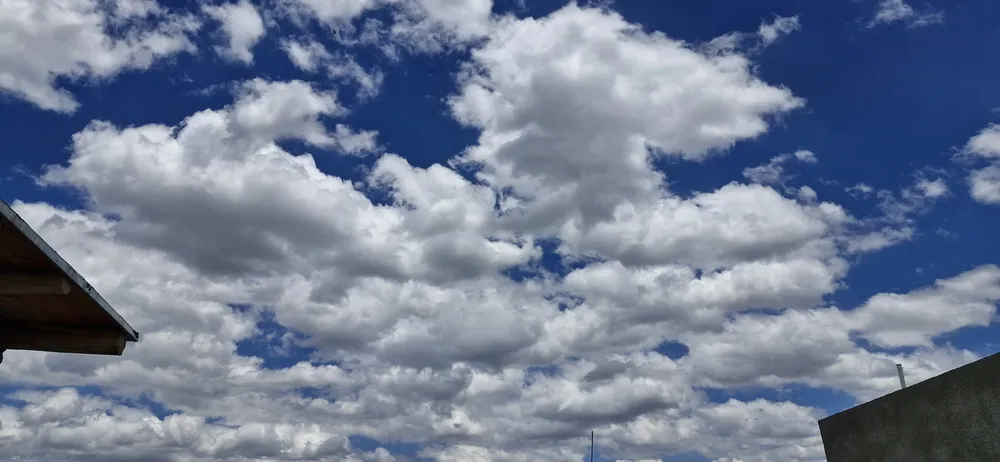 WhatsApp Image 2025-11-12 at 09.10.00