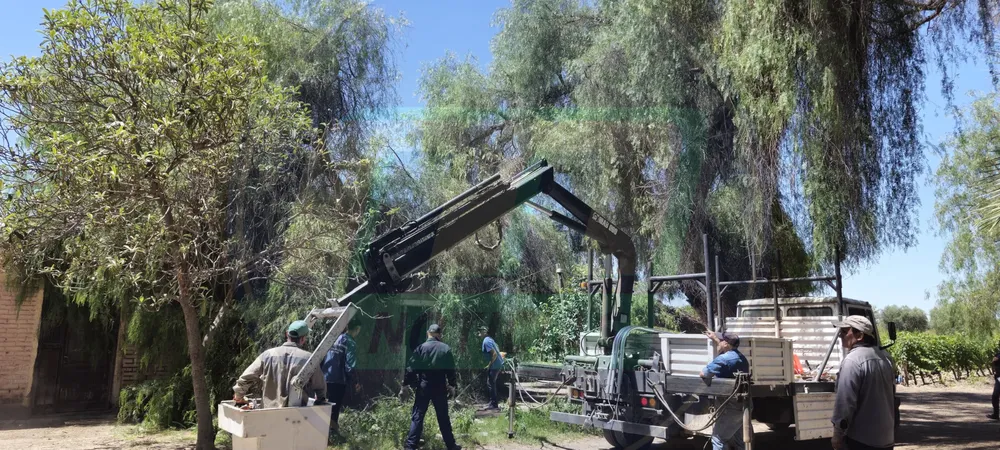 a_20241223_161437_0000