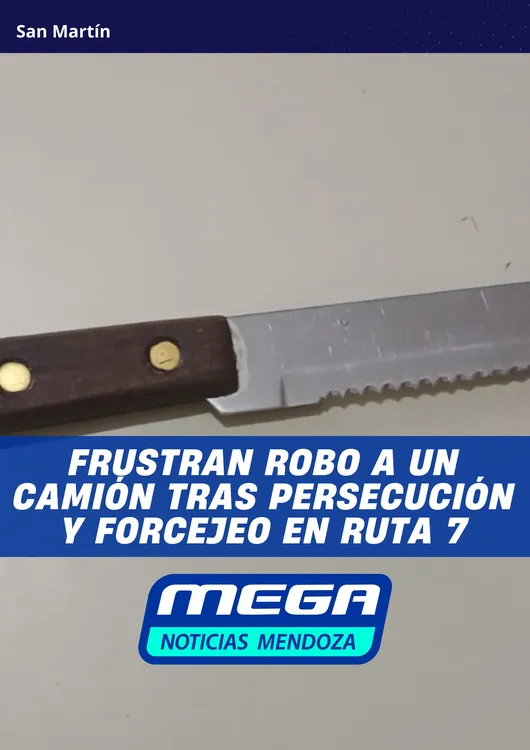 CAMION (1)