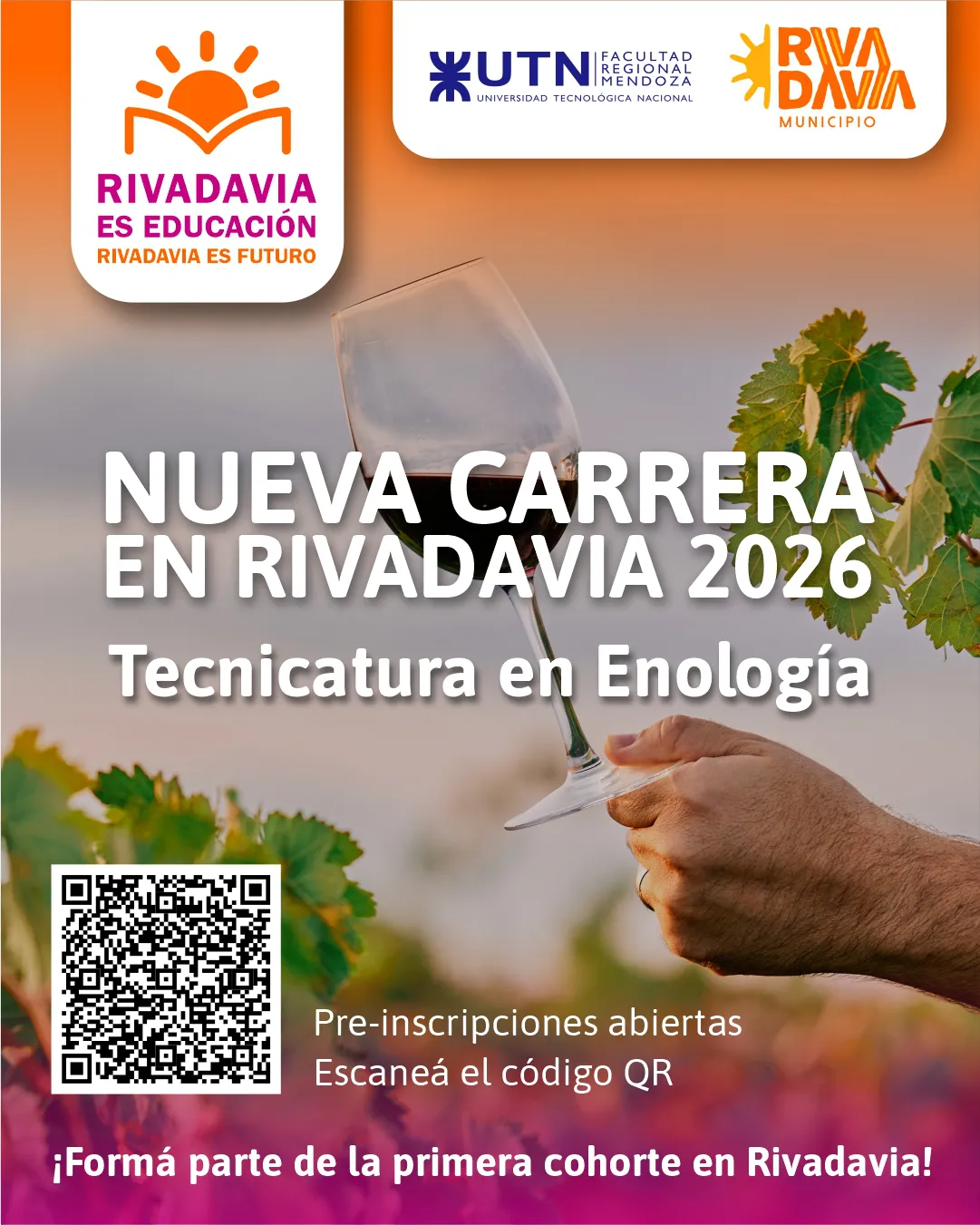 enologia 26