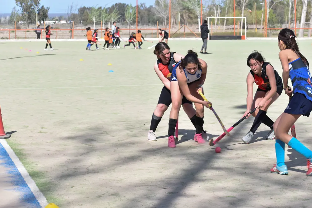 461213369_1007930511373809_203610512869539547_n