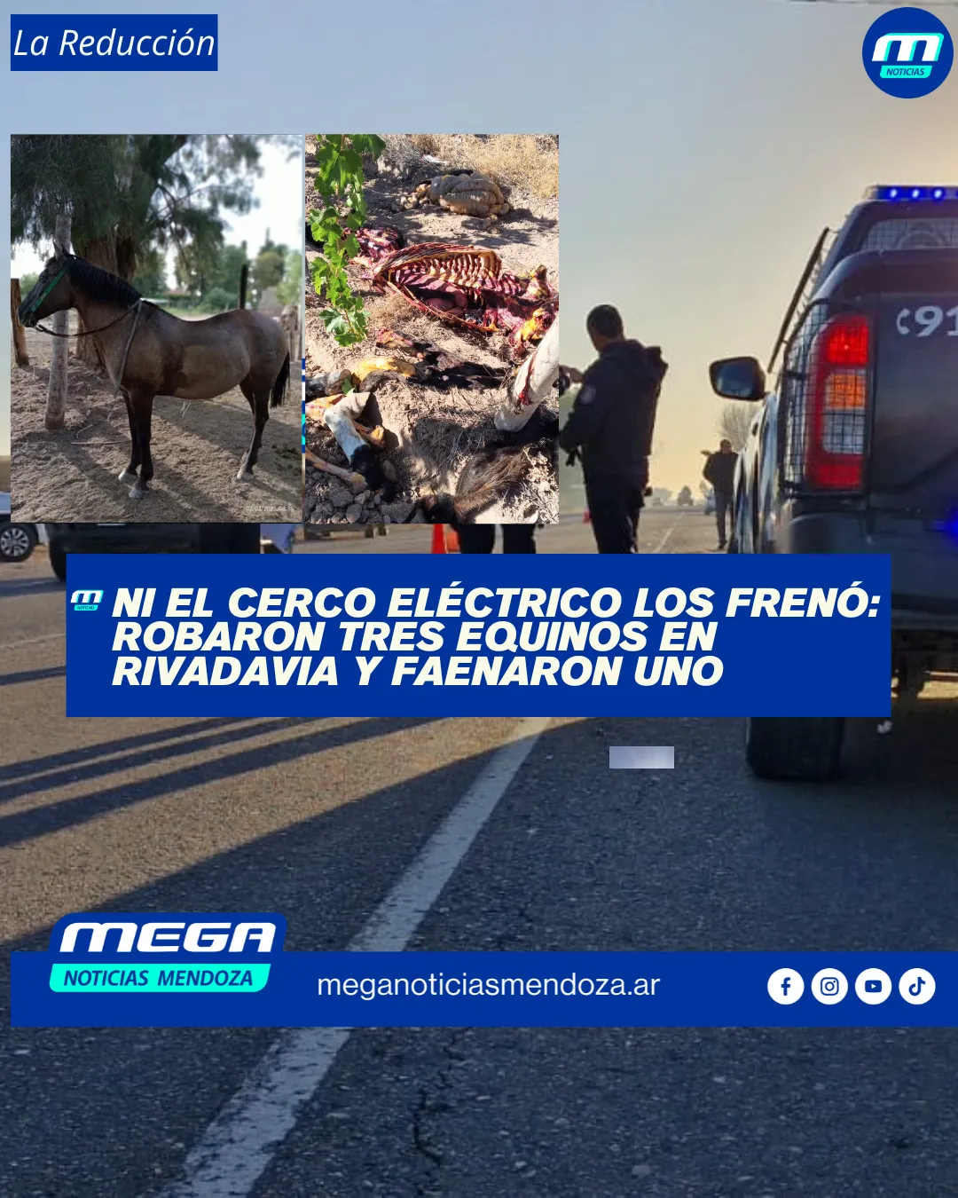 reduccion