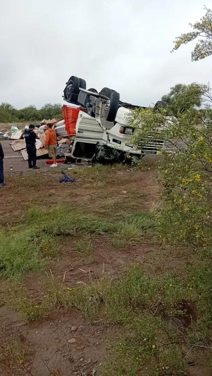 WhatsApp Image 2026-02-05 at 11.43.12