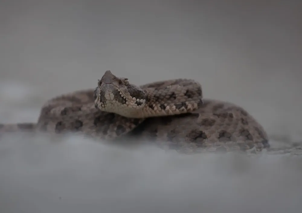 Yarara-chica-ph-martin-perez-2-scaled-e1764418519609