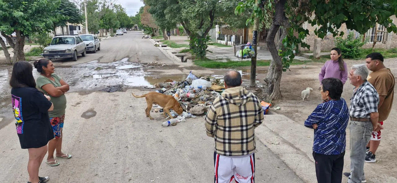 WhatsApp Image 2026-02-05 at 14.01.54