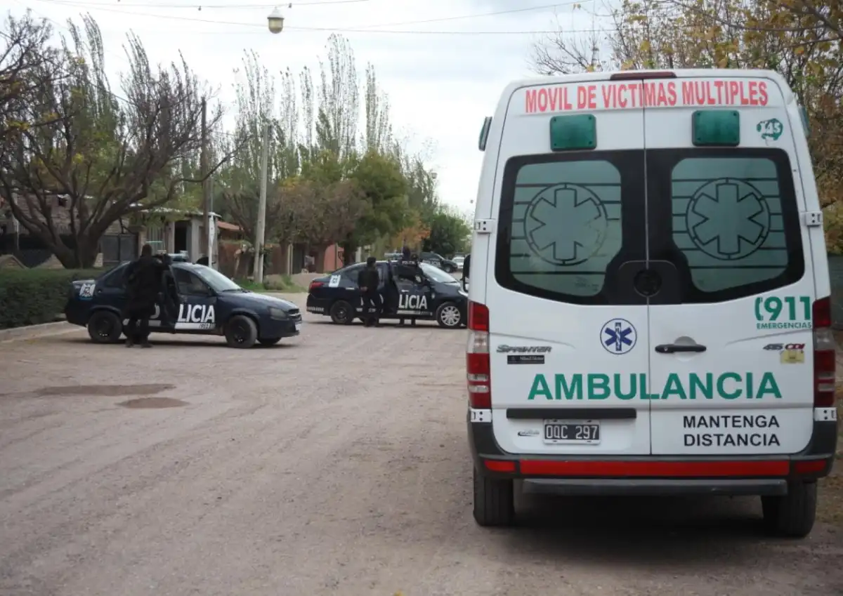 35eae335-6fbd-473d-9bfa-132059d036d9