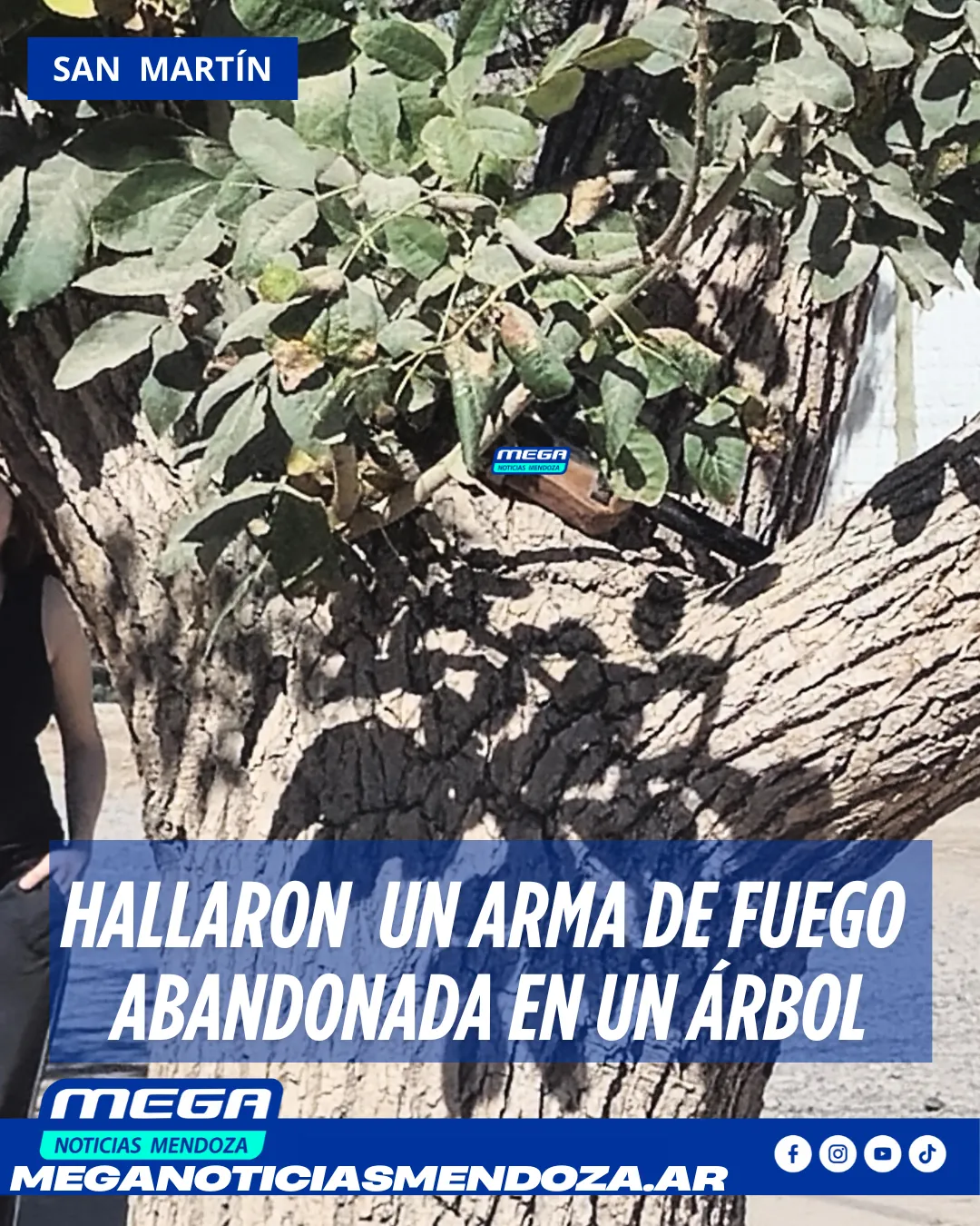 arma