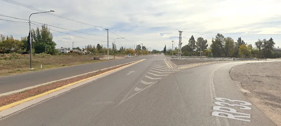 ruta 50 y las margaritas