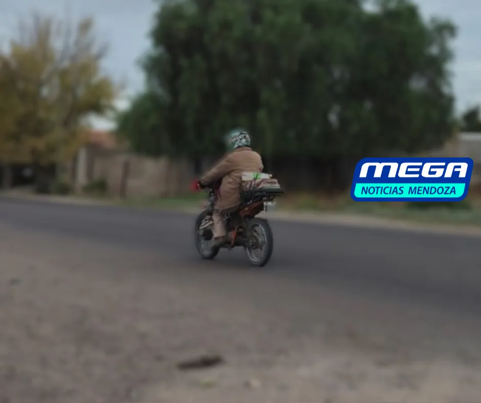MOTO (4)
