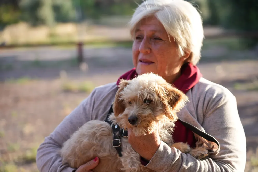 487369106_1076389494519666_2529555514937566779_n