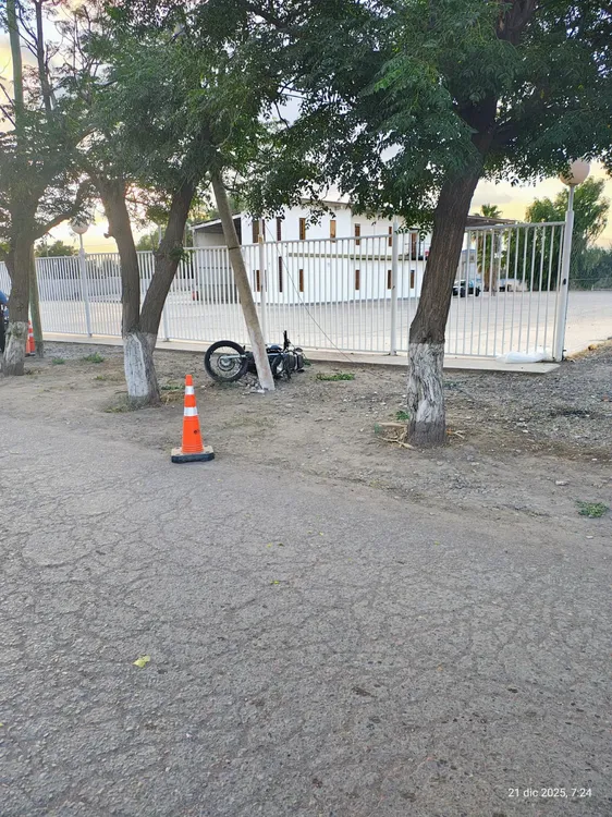 WhatsApp Image 2025-12-21 at 09.56.49