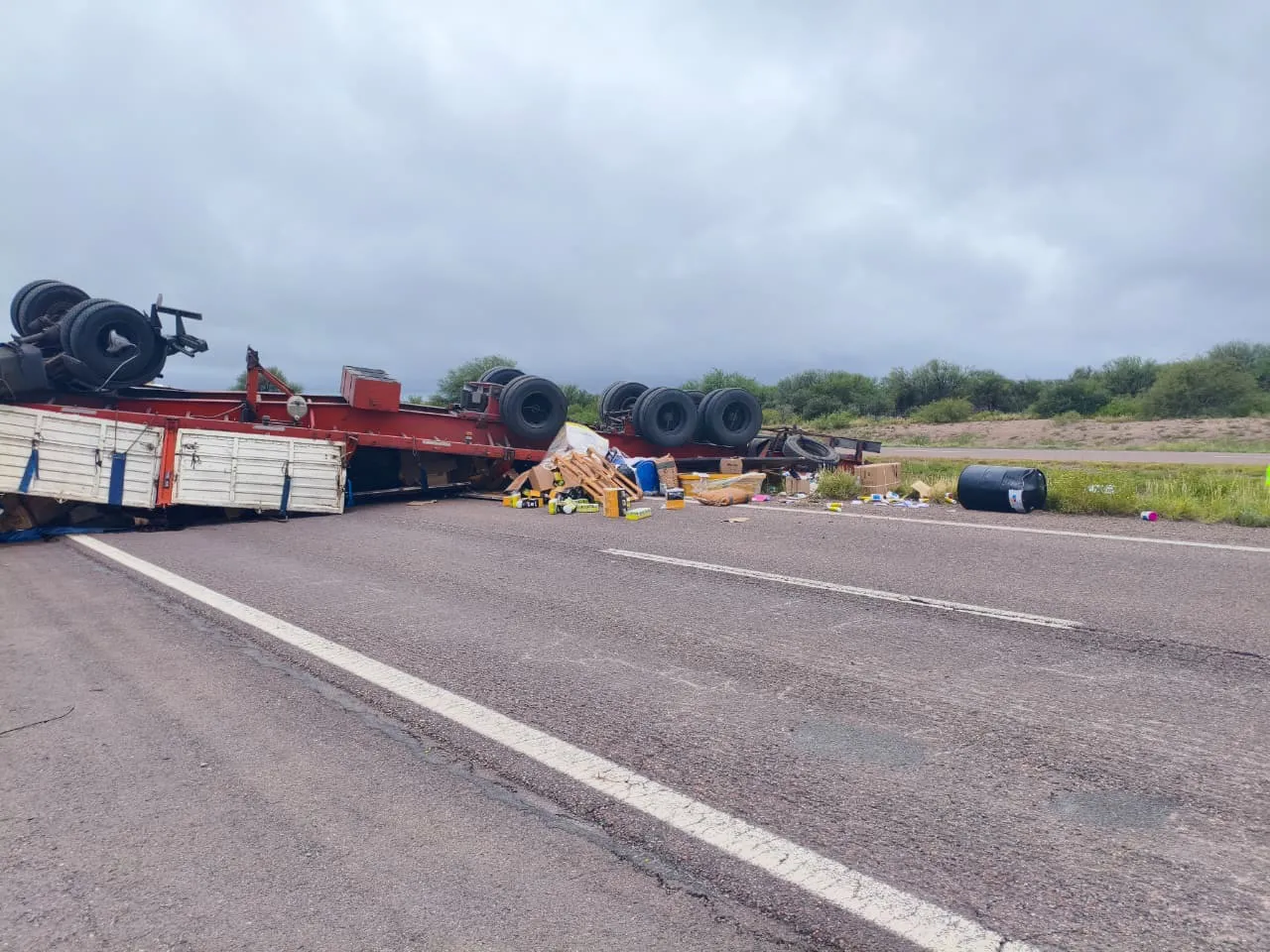 WhatsApp Image 2026-02-05 at 11.43.37