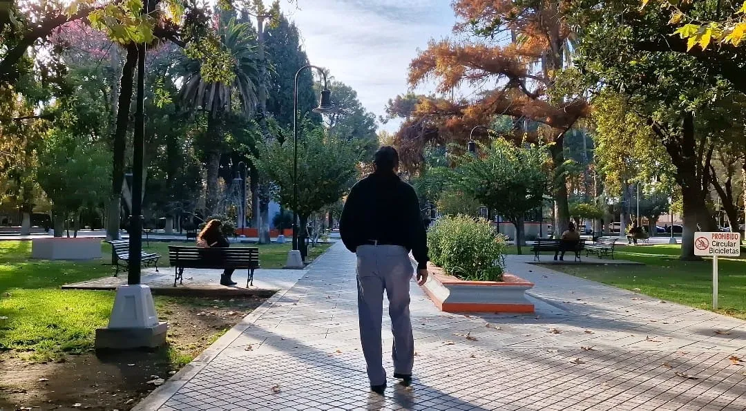 WhatsApp Image 2025-05-20 at 08.47.10