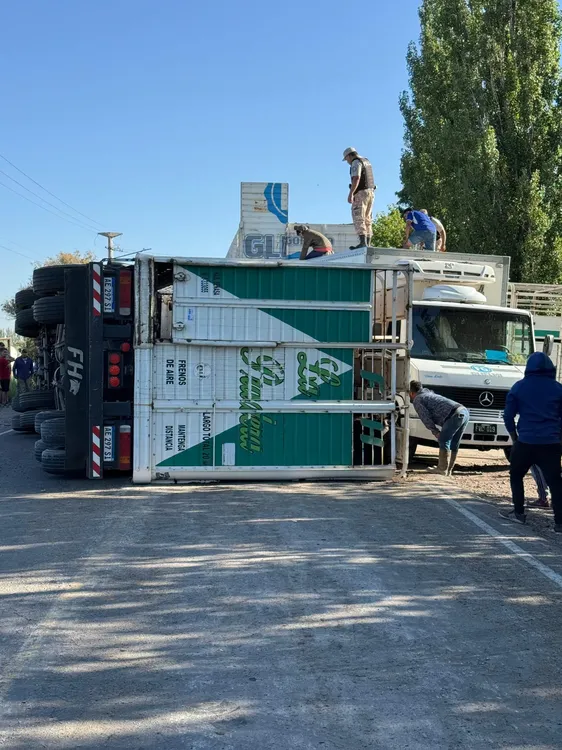 WhatsApp-Image-2024-12-04-at-8.25.38-AM-scaled