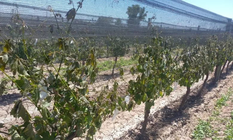 313437260_433041739016748_7199043080637925033_n