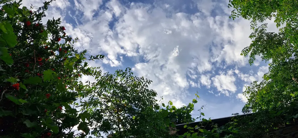 WhatsApp Image 2025-11-03 at 19.15.42