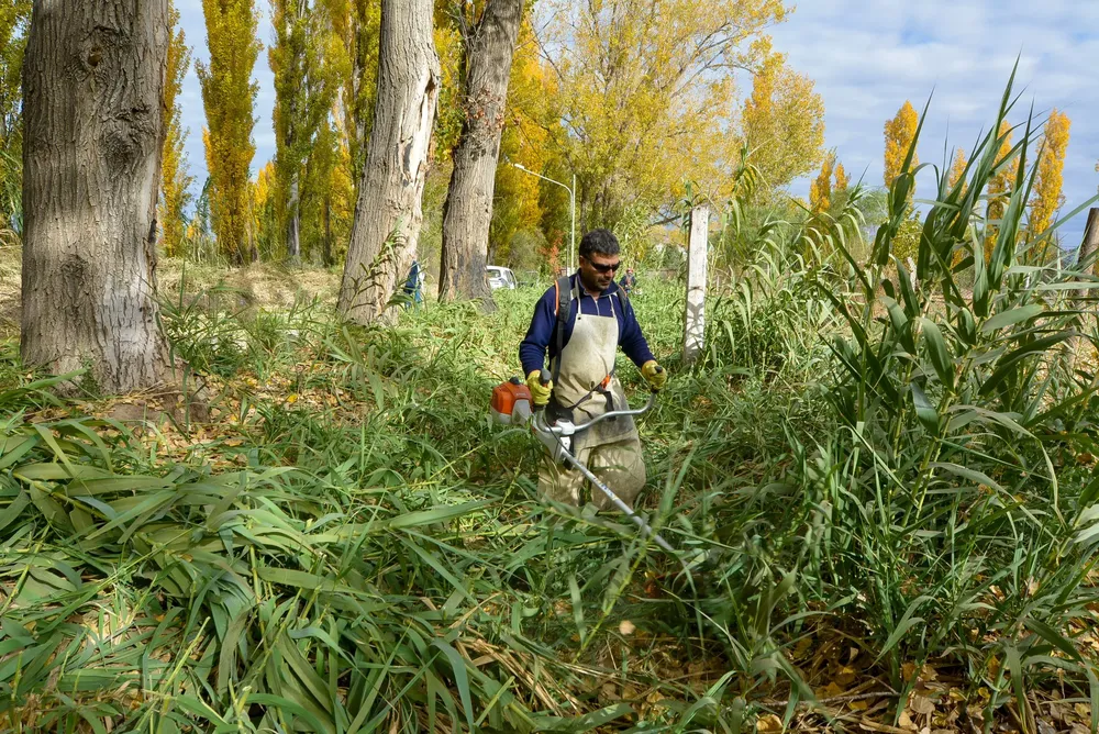 441253198_911835634316631_4294913713021392859_n