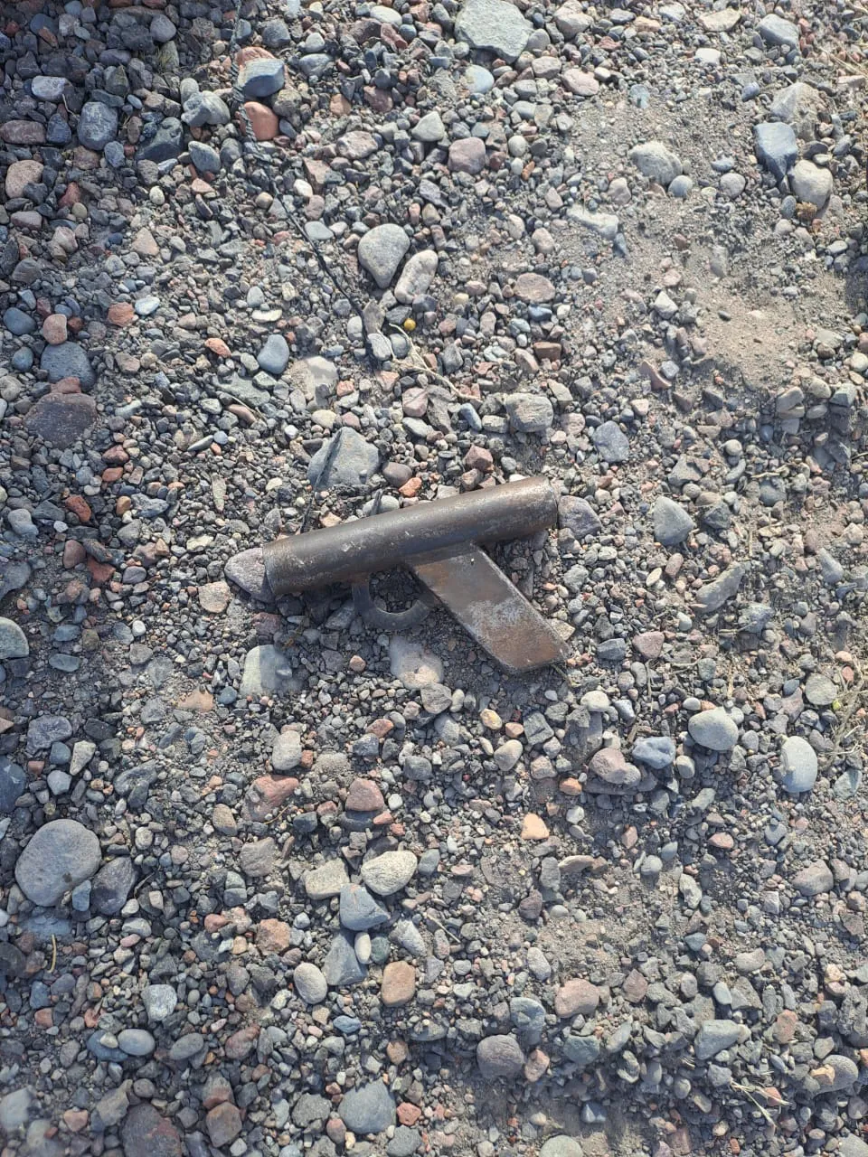 WhatsApp Image 2024-08-01 at 19.20.24