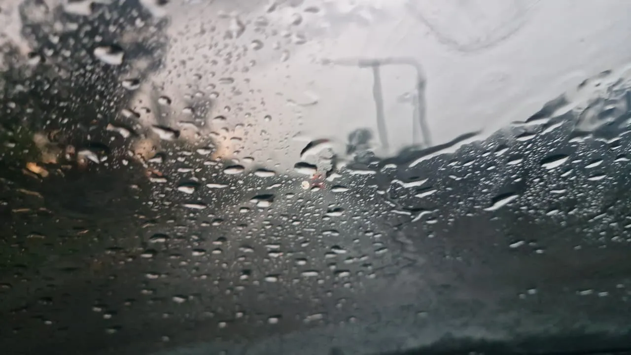 WhatsApp Image 2026-02-04 at 21.18.49