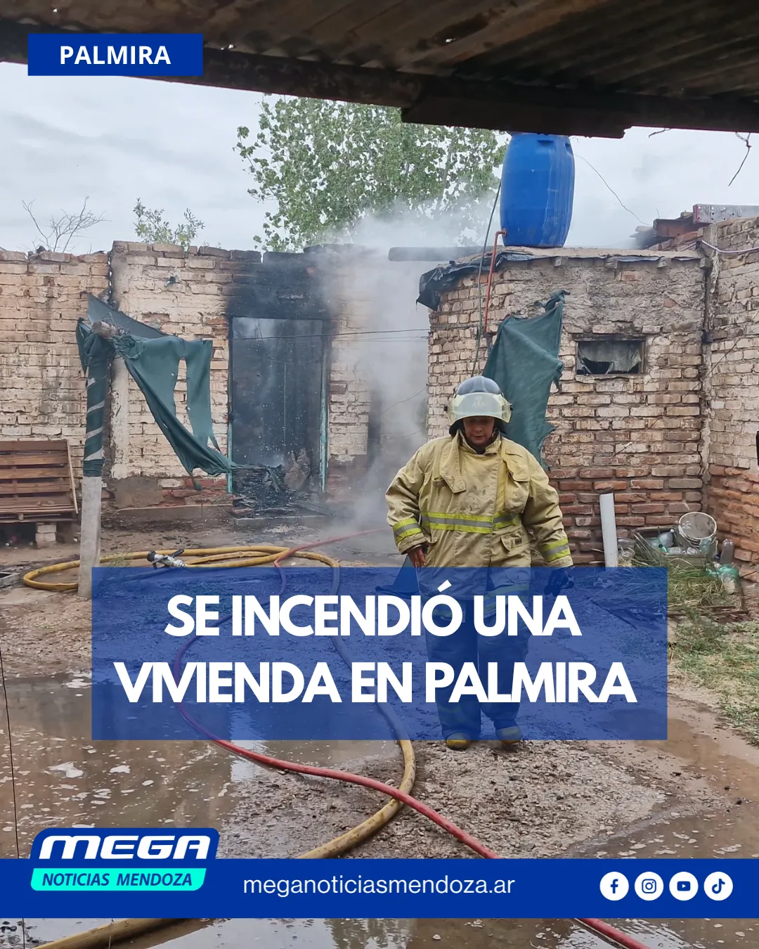 VIVINEDA