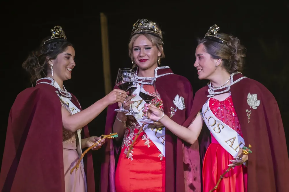 Sabado de vendimia Los Arboles etc.-5542