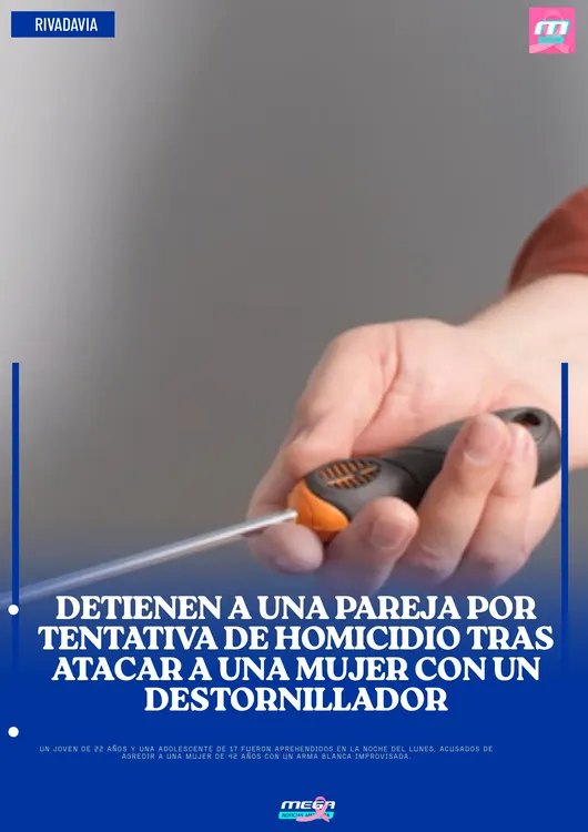 destornillador (2)