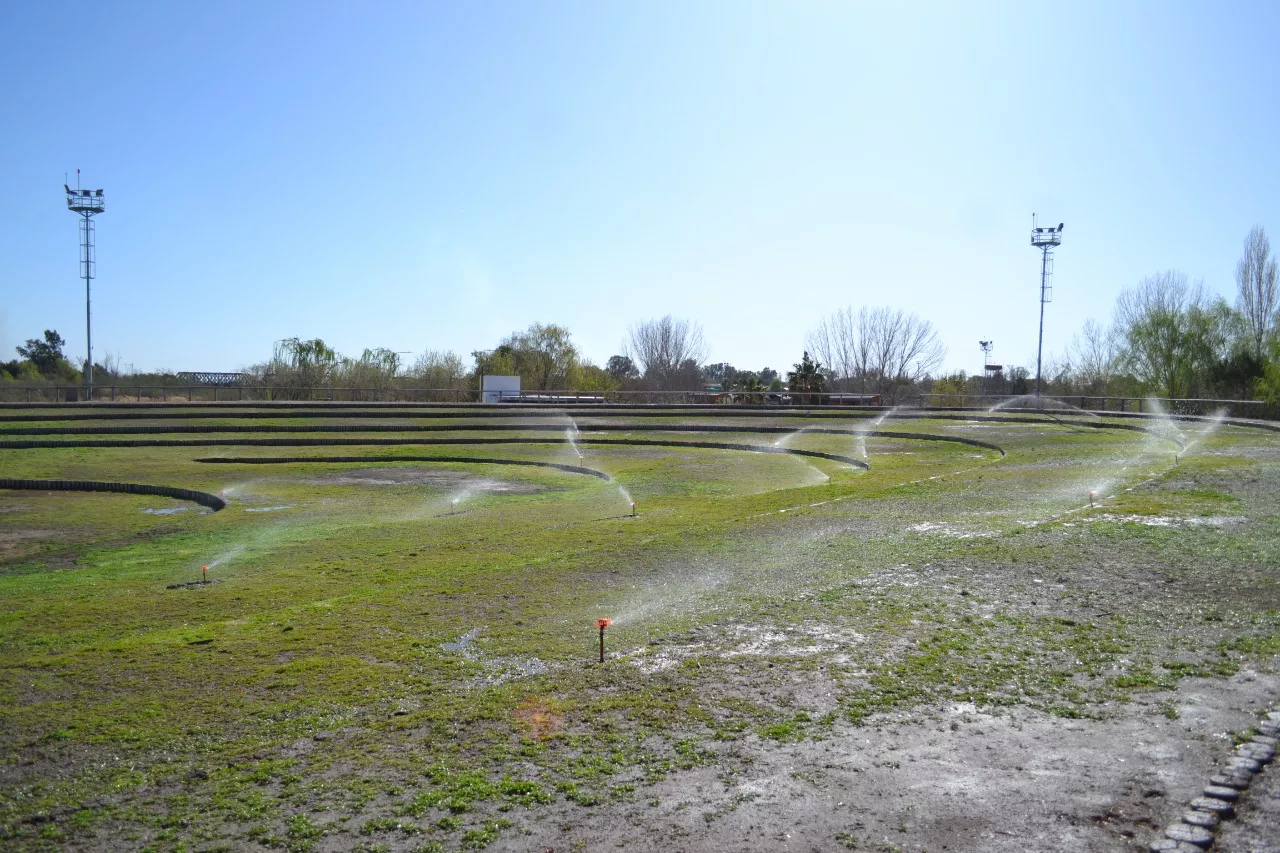 palmira (4)