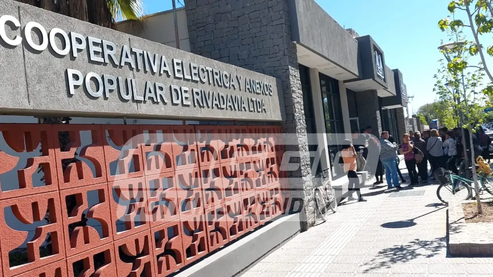 cooperativa