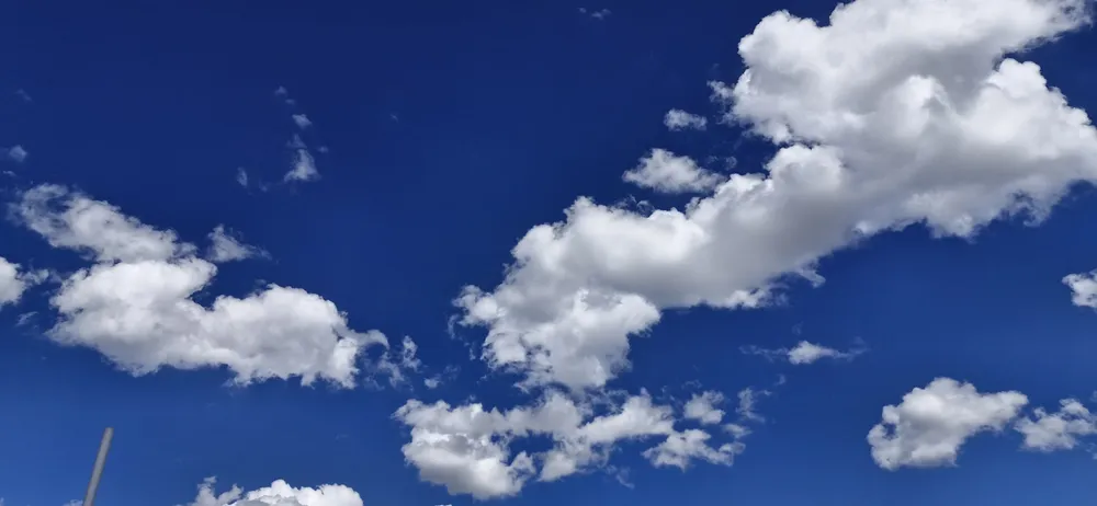 WhatsApp Image 2026-02-11 at 08.36.25