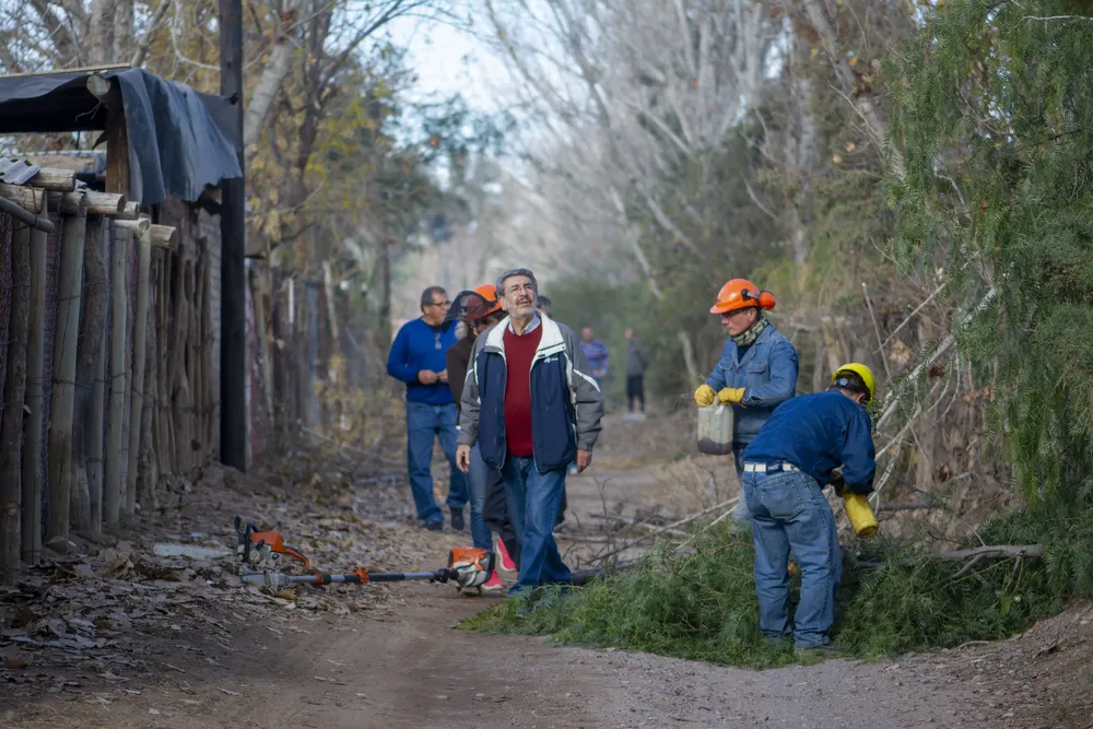 Poda y Luminarias Callejon Arroyo-0291
